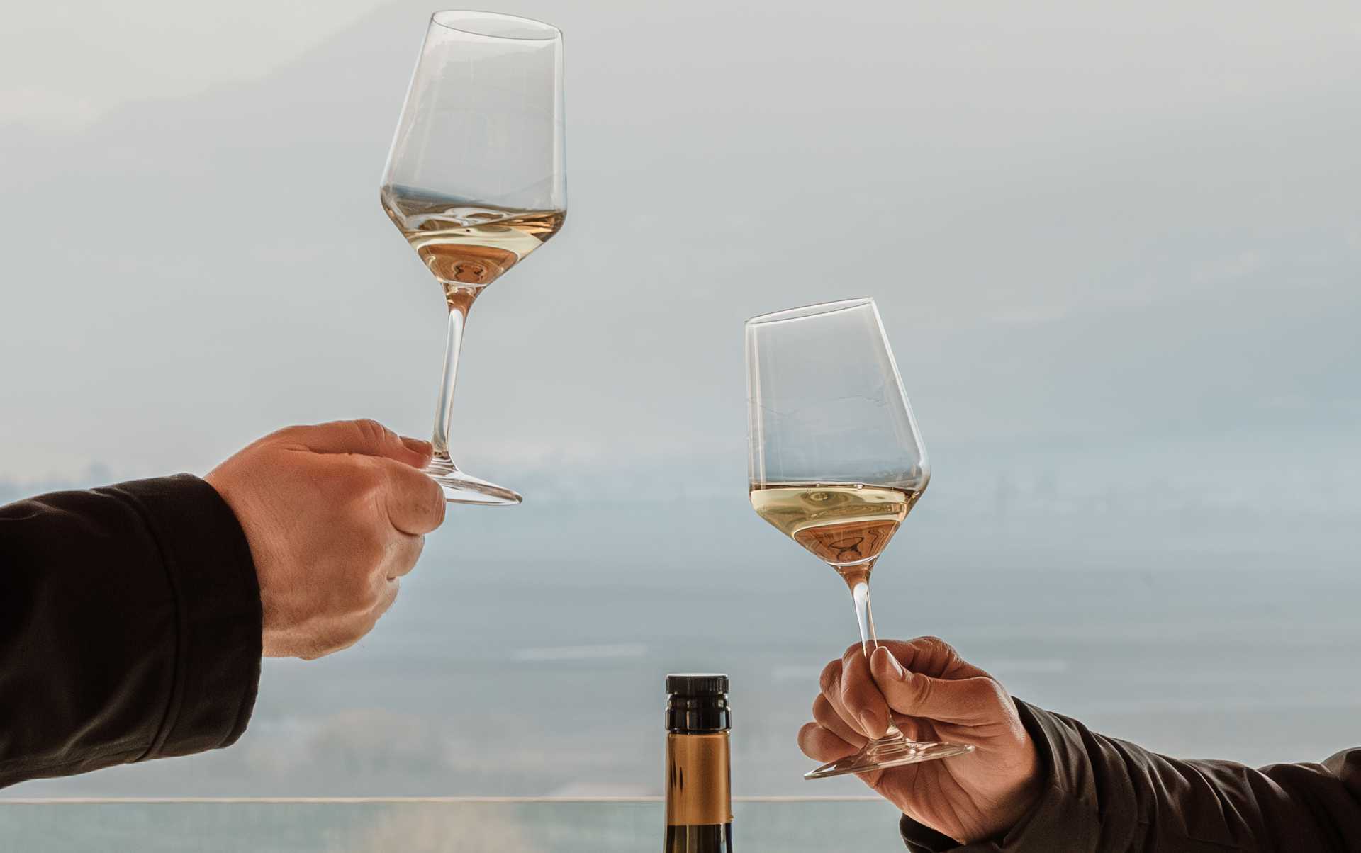 2 Gläser mit Weißwein bei der Verkostung