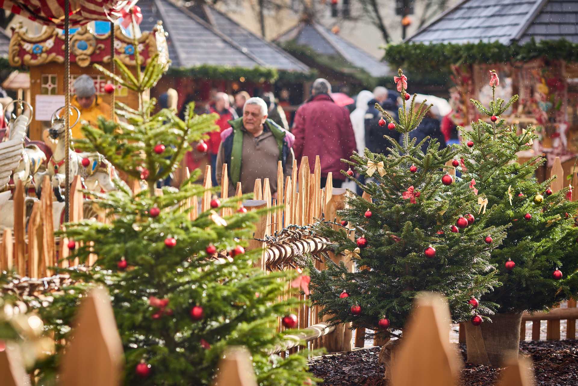 Weihnachtsbäume schön geschmückt, machen tolle Stimmung auf dem Weihnachtsmarkt Brixen