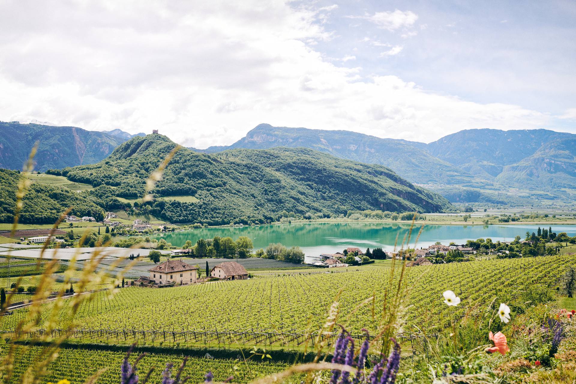 Kalterer See