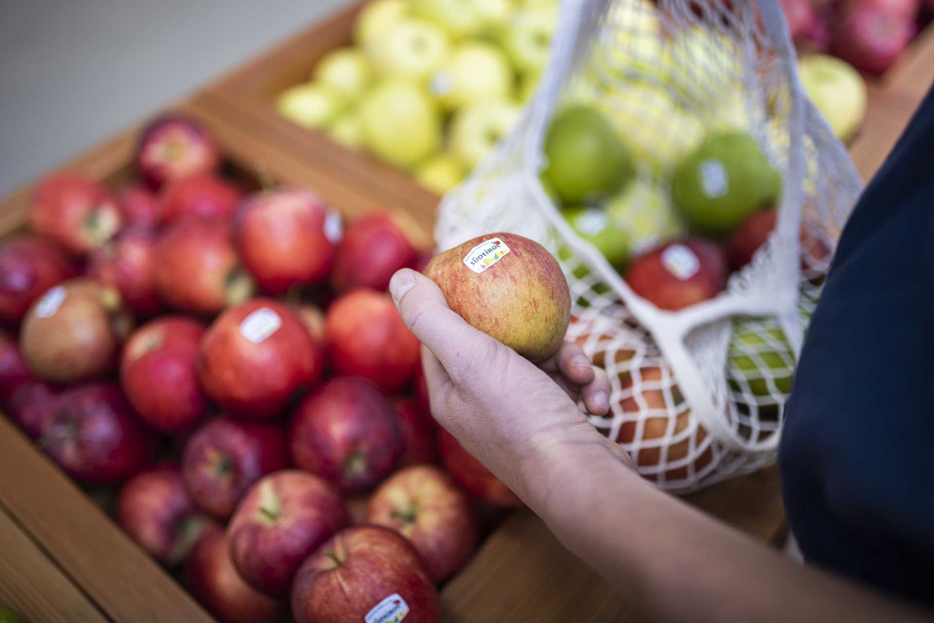 fresh red and green apples