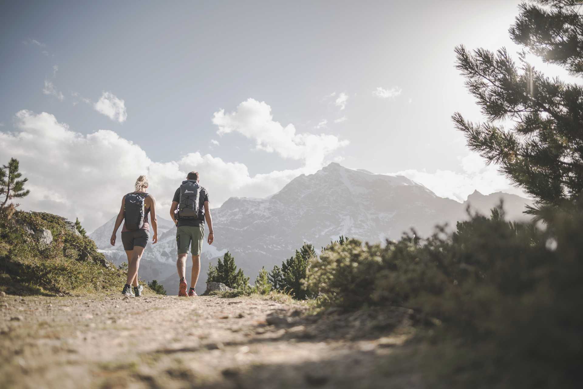 2 Wanderer auf einem Forstweg