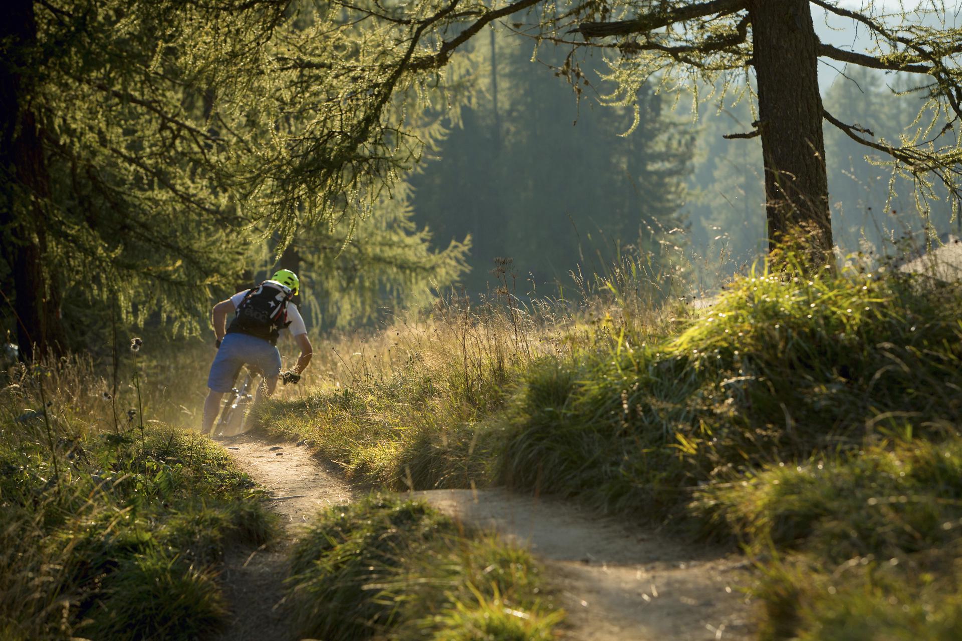 Downhill mit dem Mountainbike